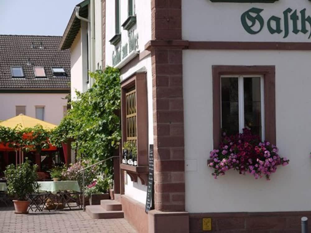 Adler Landhotel Buergstadt Екстер'єр фото